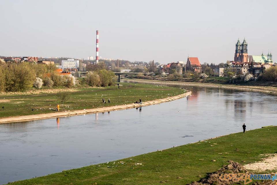 Bałagan nad Wartą  Foto: 500miles.pl