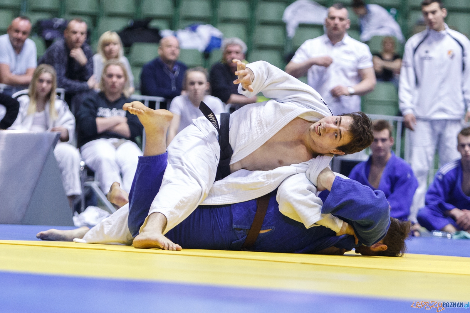 Mistrzostwa Polski Juniorów i Juniorek w Judo  Foto: LepszyPOZNAN.pl / Paweł Rychter