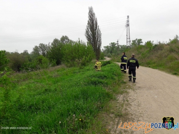Poszukują zaginionego mężczyzny  Foto: OSP Luboń