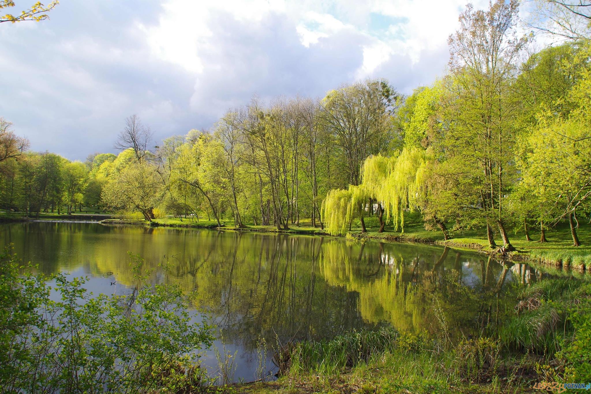 Park Sołacki  Foto: Justyna Kędra / PoPoznaniu