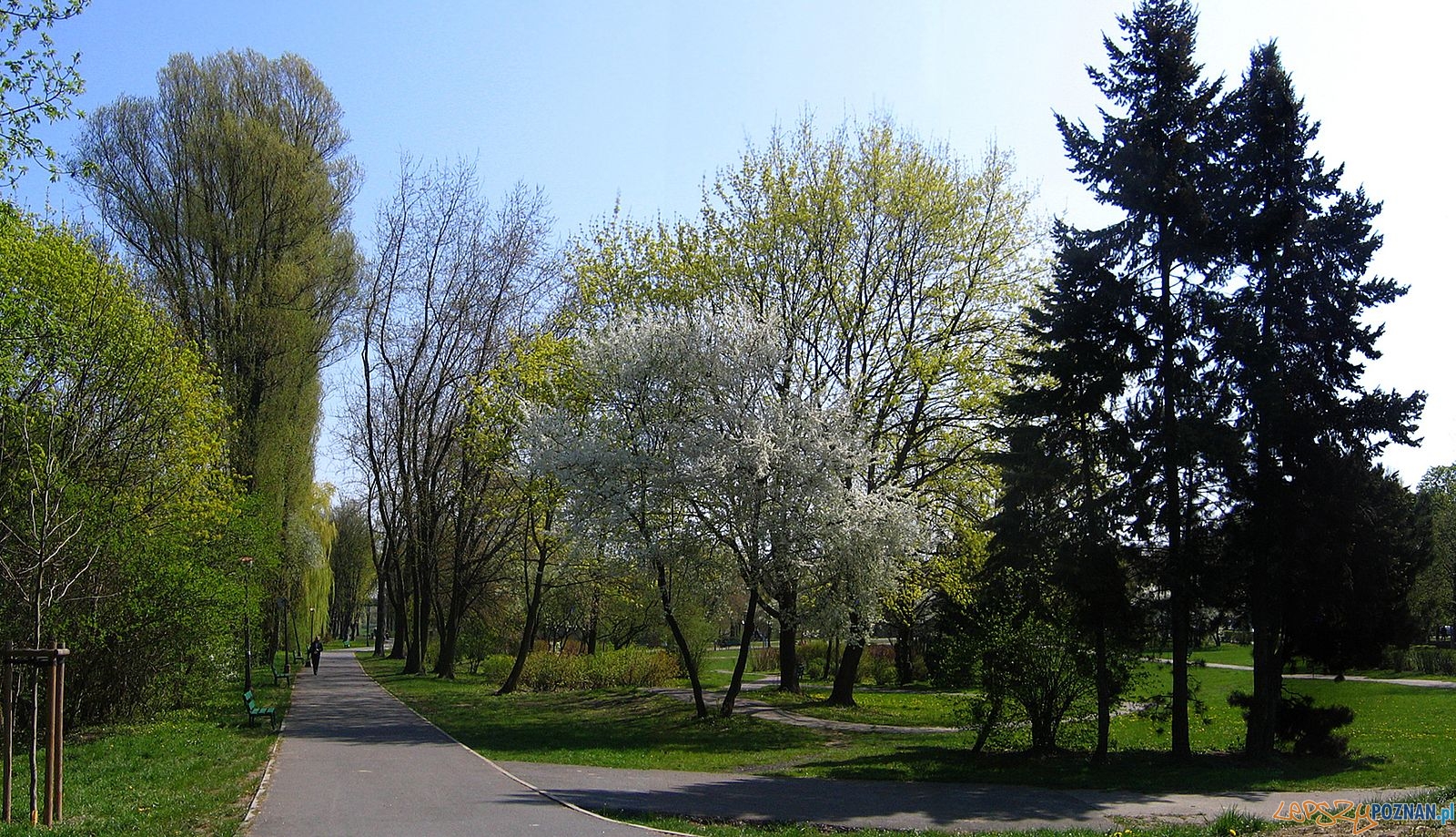 Park im. Adama Wodziczki  Foto: Kura / wikipedia 