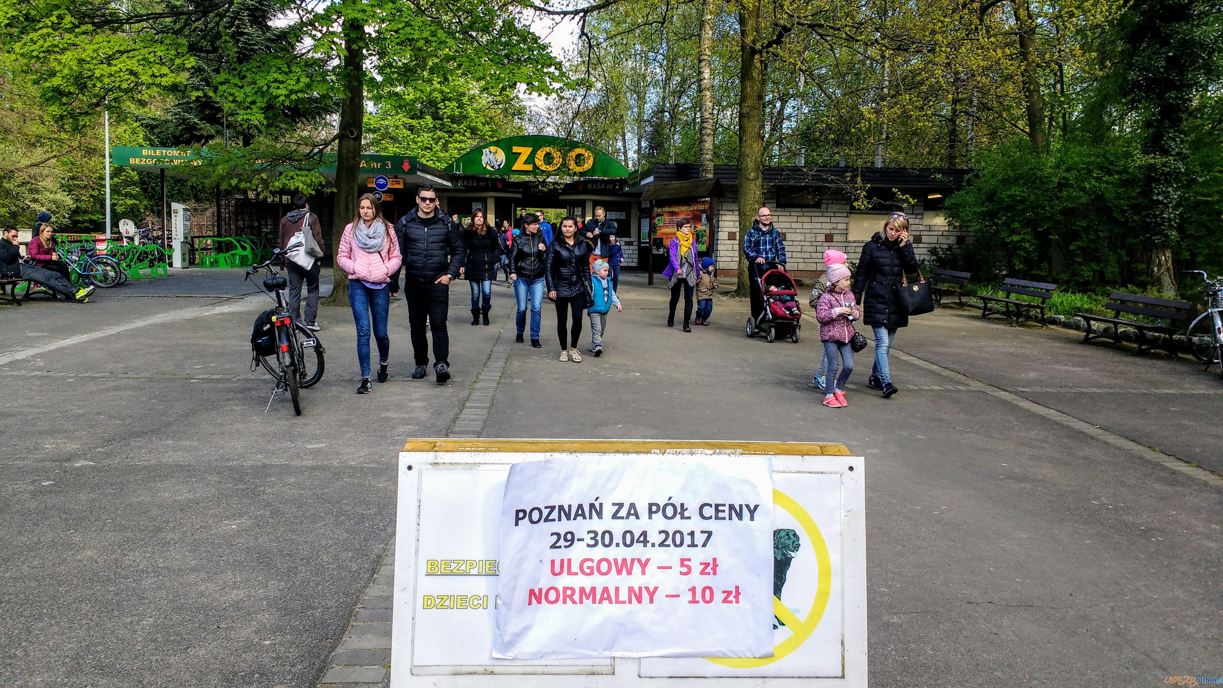 Udany jubileusz akcji Poznań za pół ceny - Nowe ZOO  Foto: PLOT / Wojciech mania