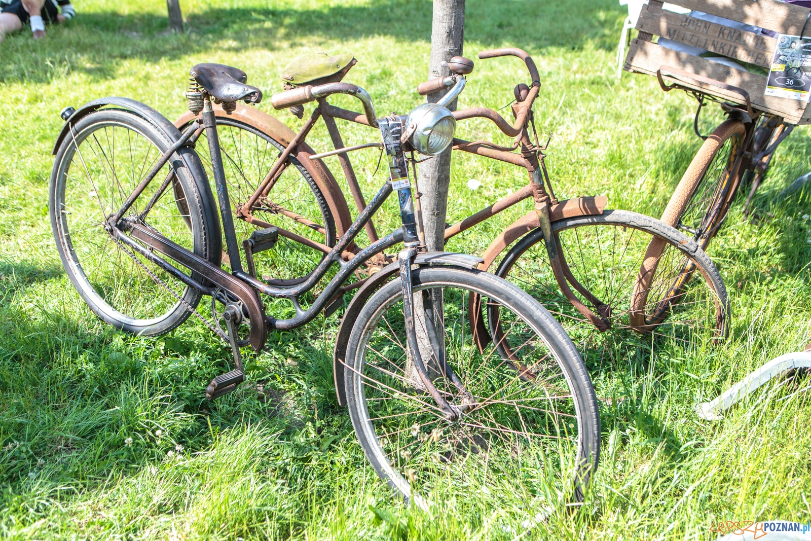 Retroweriada 2017 - VI Ogólnopolski Zlot Miłośników Rowerów  Foto: LepszyPOZNAN.pl / Paweł Rychter