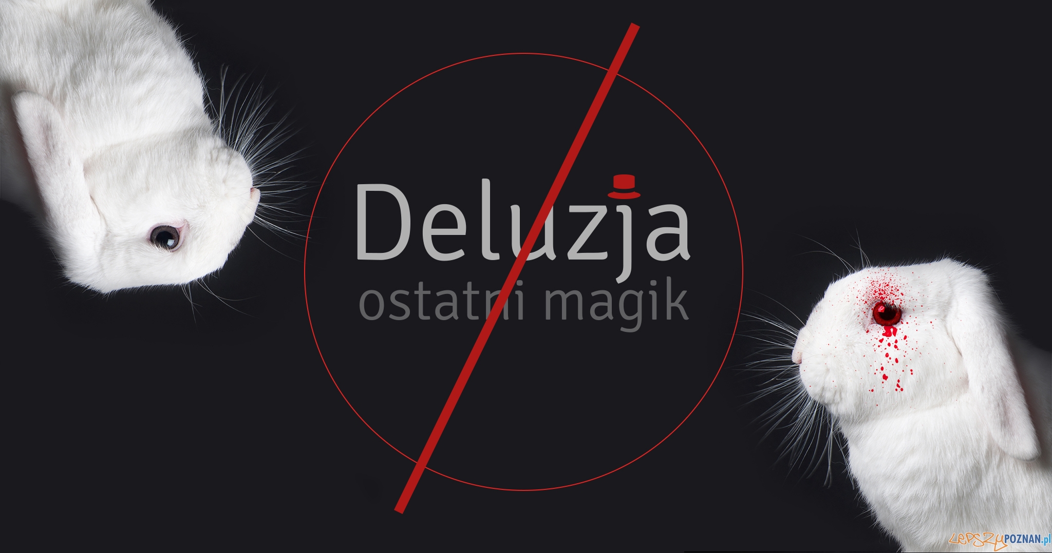 deluzja  Foto: materiały prasowe