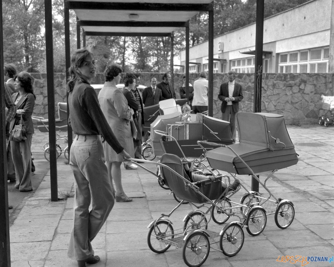 Punkt sprzedaży wózkow dziecięcych - 3-4 czerwca 1978  Foto: Stanisław Wiktor /Cyryl