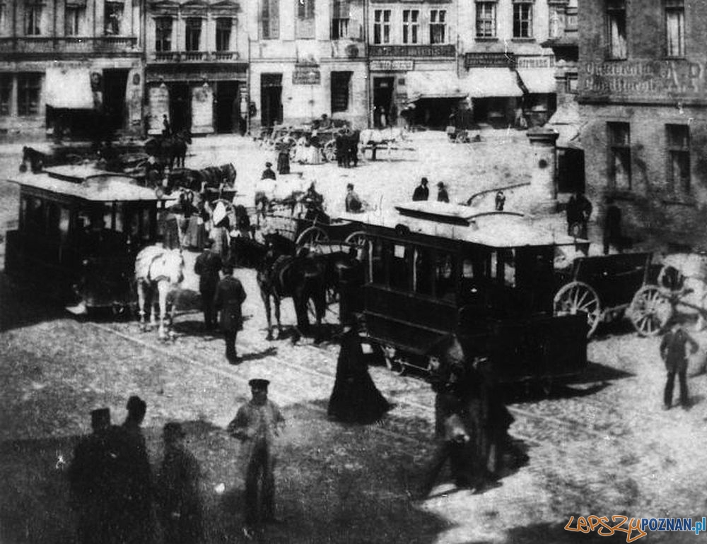 Wagony_6_i_7_tramwajow_konnych_na_Starym Rynku  Foto: Archiwum MPK