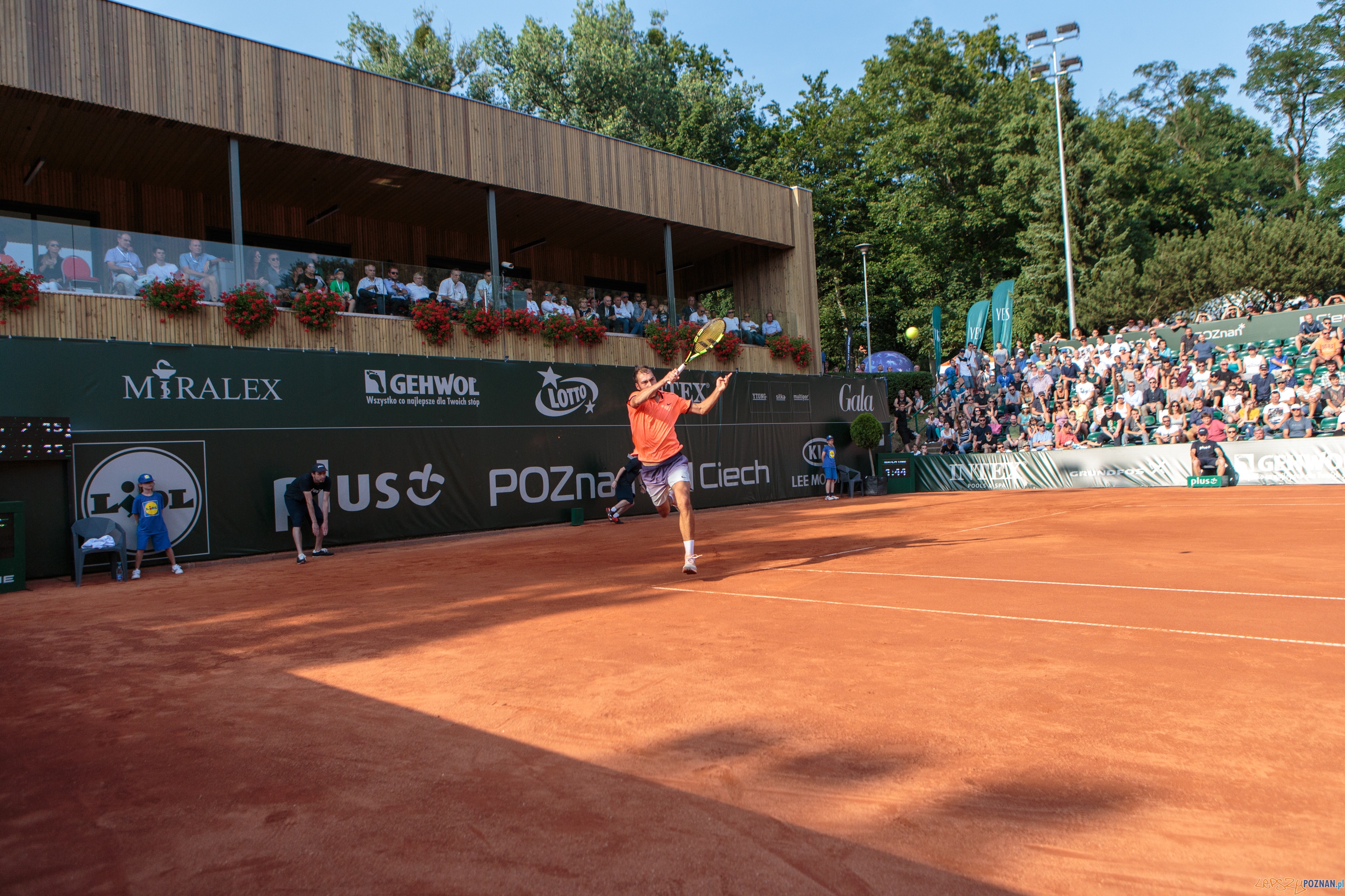 Goncalo Oliveira (POR) vs Jerzy Janowicz (POL) - Poznań Open 20  Foto: Pawel Rychter