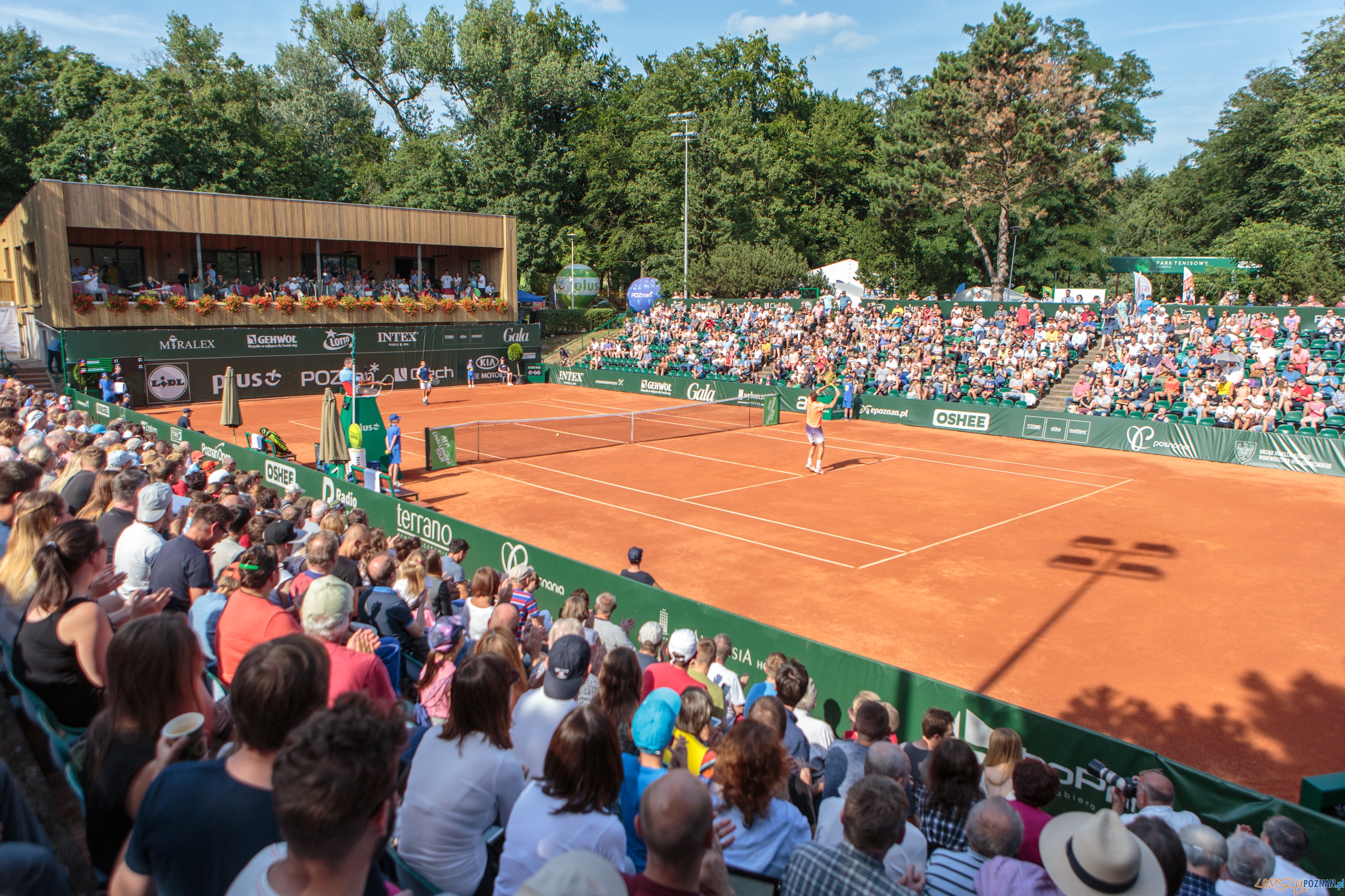 Jaume Munar (ESP) vs Jerzy Janowicz (POL) - Poznań Open 2017 -  Foto: Pawel Rychter