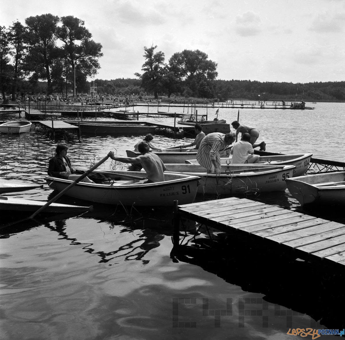 Strzeszynek - jezioro 10.08.1974  Foto: Stanisław Wiktor / Cyryl