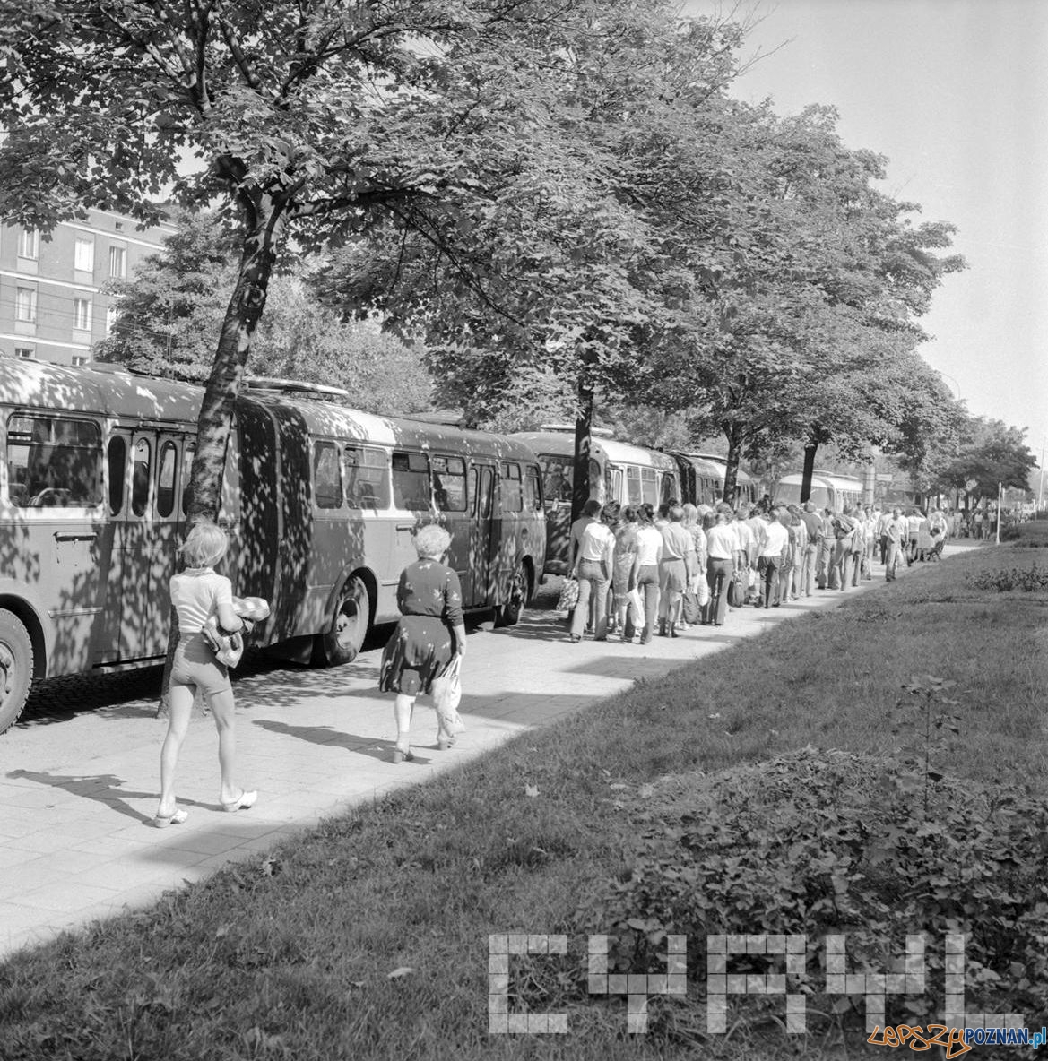 Autobusy przez pływalnią w karku Kasprowicza 10.08.1975  Foto: Stanisław Wiktor / Cyryl