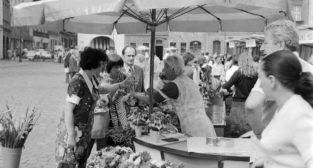 Stary Rynek kwiaciarnia 16.08.1975  Foto: Stanisław Wiktor / Cyryl