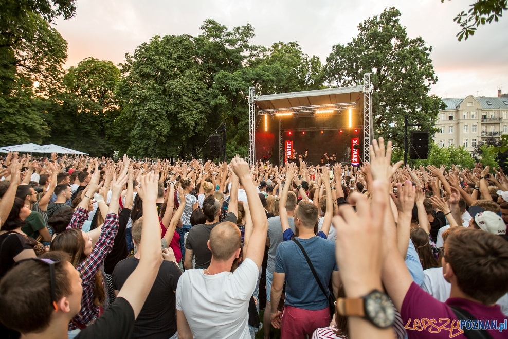 Miejskie Granie, koncert O.S.T.R.  Foto: JakubWittchen.com / materiały Starego Browaru