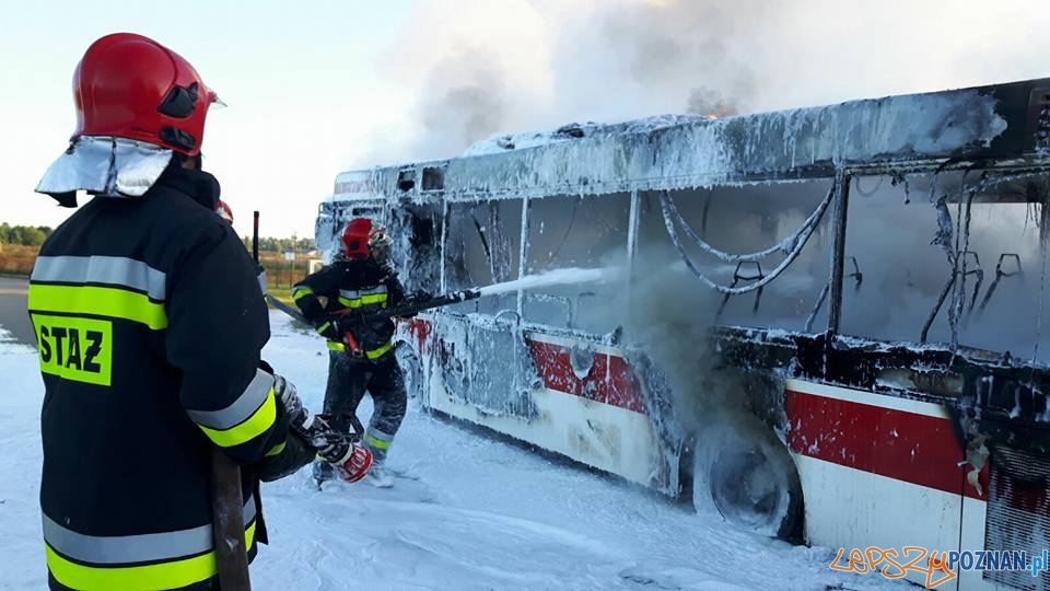 Pożar autobusu w Złotnikach  Foto: OSP Suchy Las