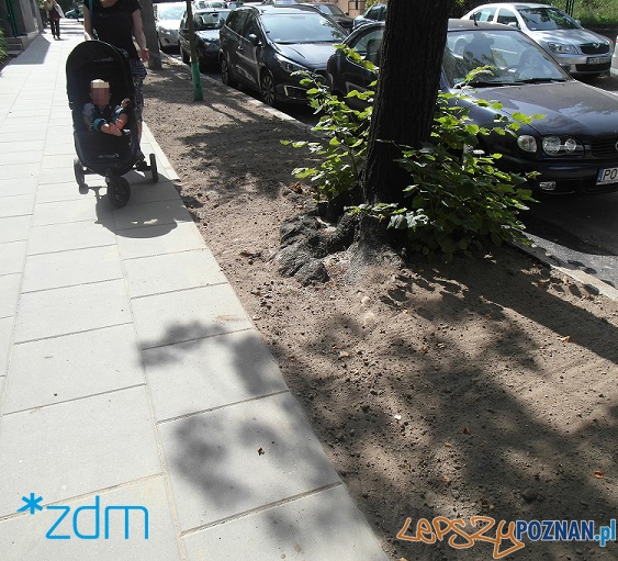 Remont chodników na Wildzie  Foto: ZDM