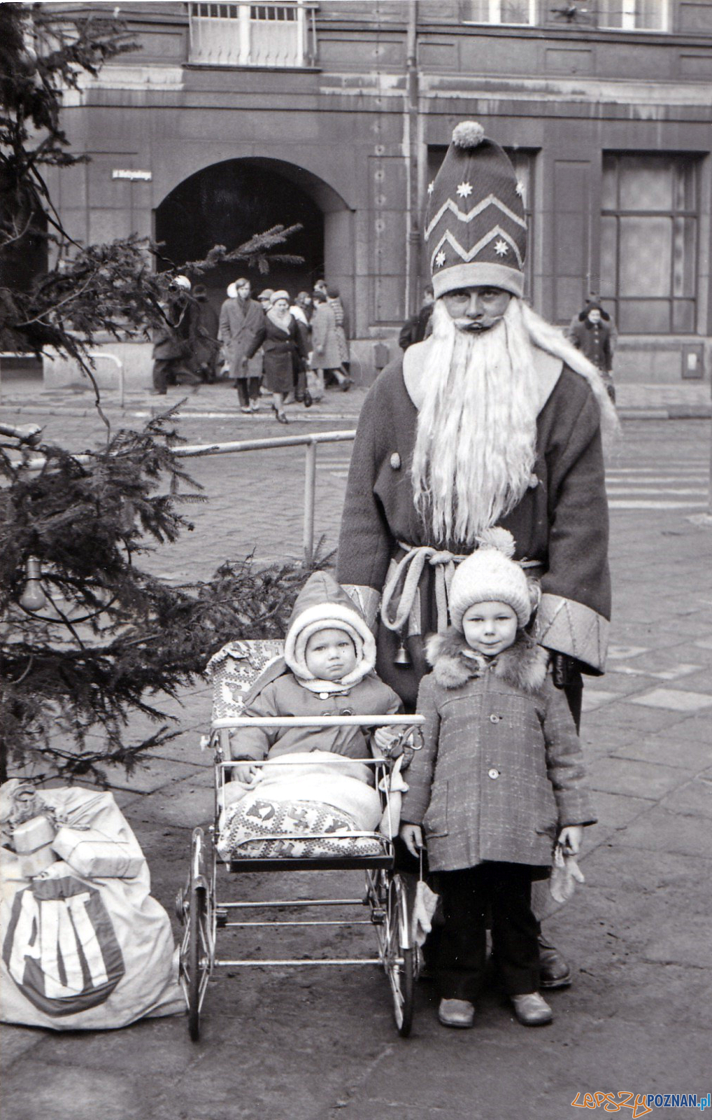 Gwiazdor Okrąglak 1973 rok  Foto: 