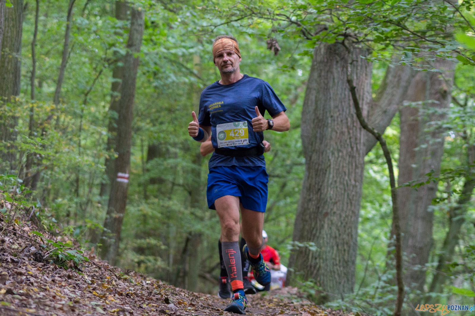 Forest Run  Foto: lepszyPOZNAN.pl / Ewelina Jaskowiak