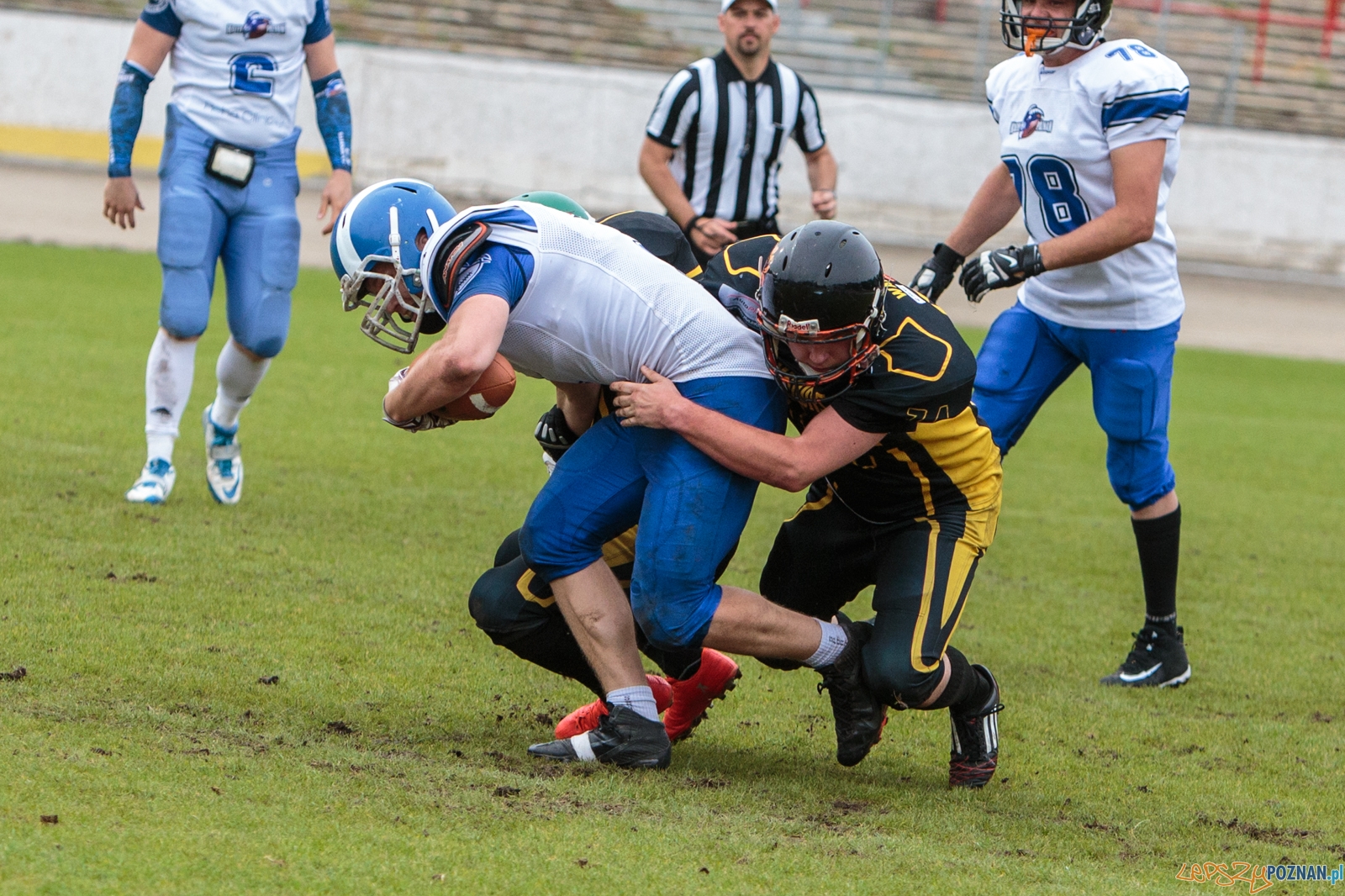 Kozły Poznań B – Warriors Lubin 18:0 (finał) (finał) - 17.  Foto: LepszyPOZNAN.pl / Paweł Rychter