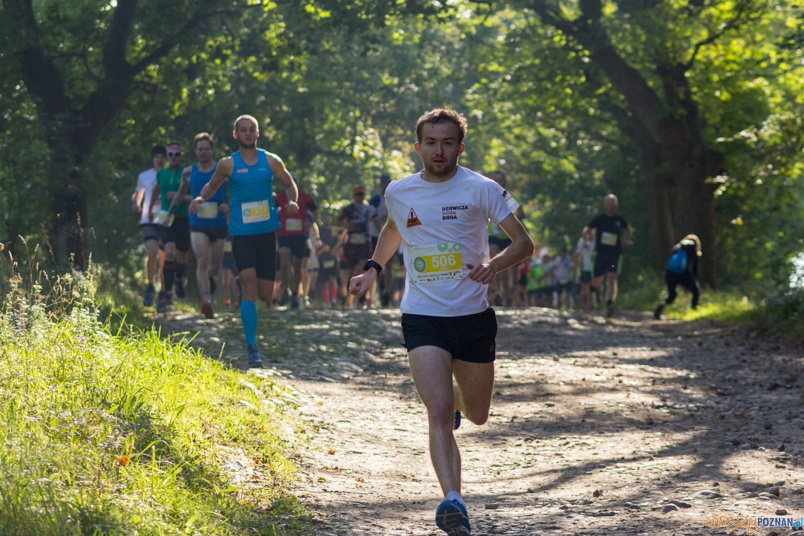 Forest Run  Foto: lepszyPOZNAN.pl / Ewelina Jaskowiak