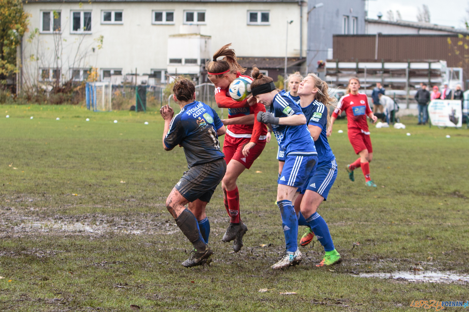 Piłka nożna 1 liga: Polonia Poznań vs Stomilanki Olsztyn 2:1  Foto: LepszyPOZNAN.pl / Paweł Rychter