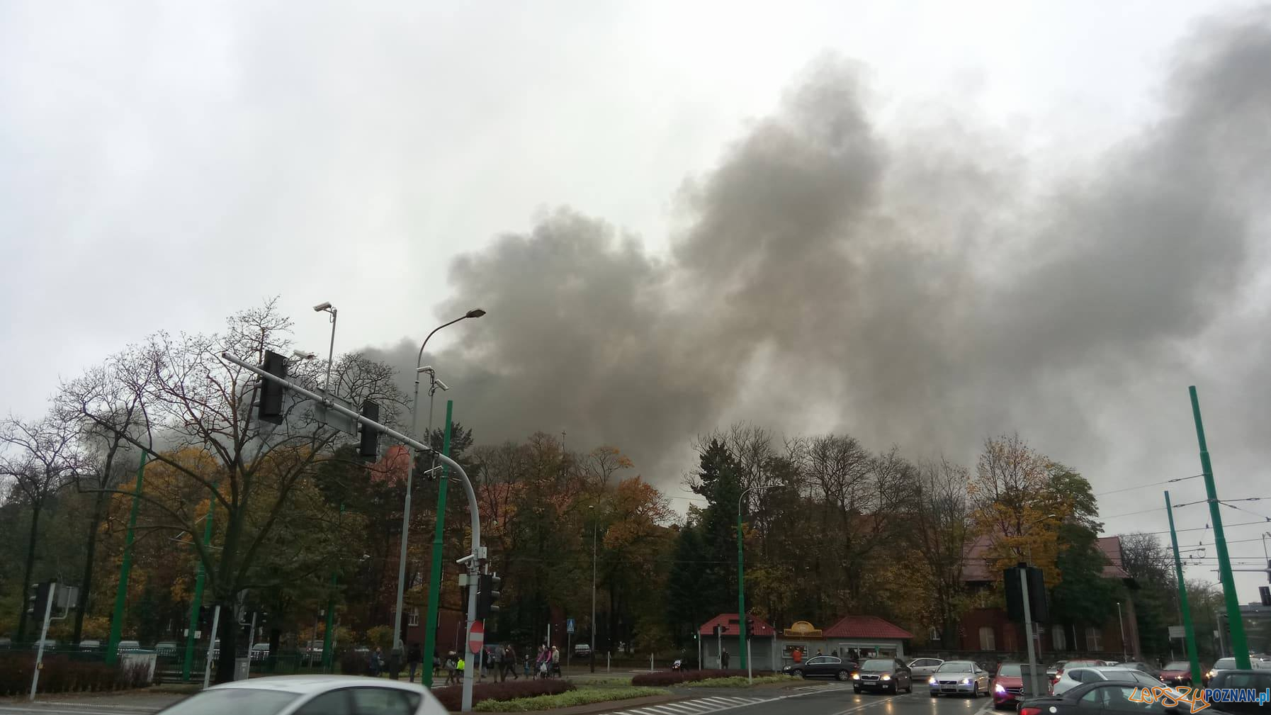 Pożar na Grunwaldzie - Poznań 25.10.2017 r.  Foto: Piotr