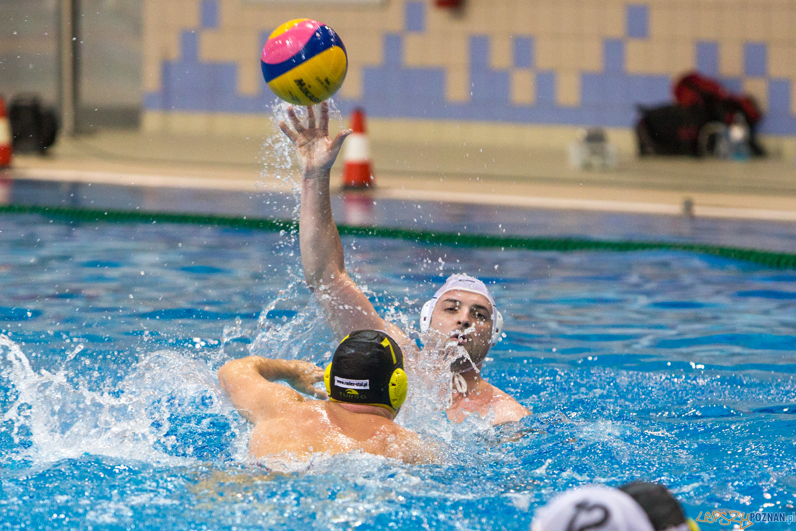 Waterpolo Poznań -  Polonia Bytom  Foto: lepszyPOZNAN.pl/Piotr Rychter