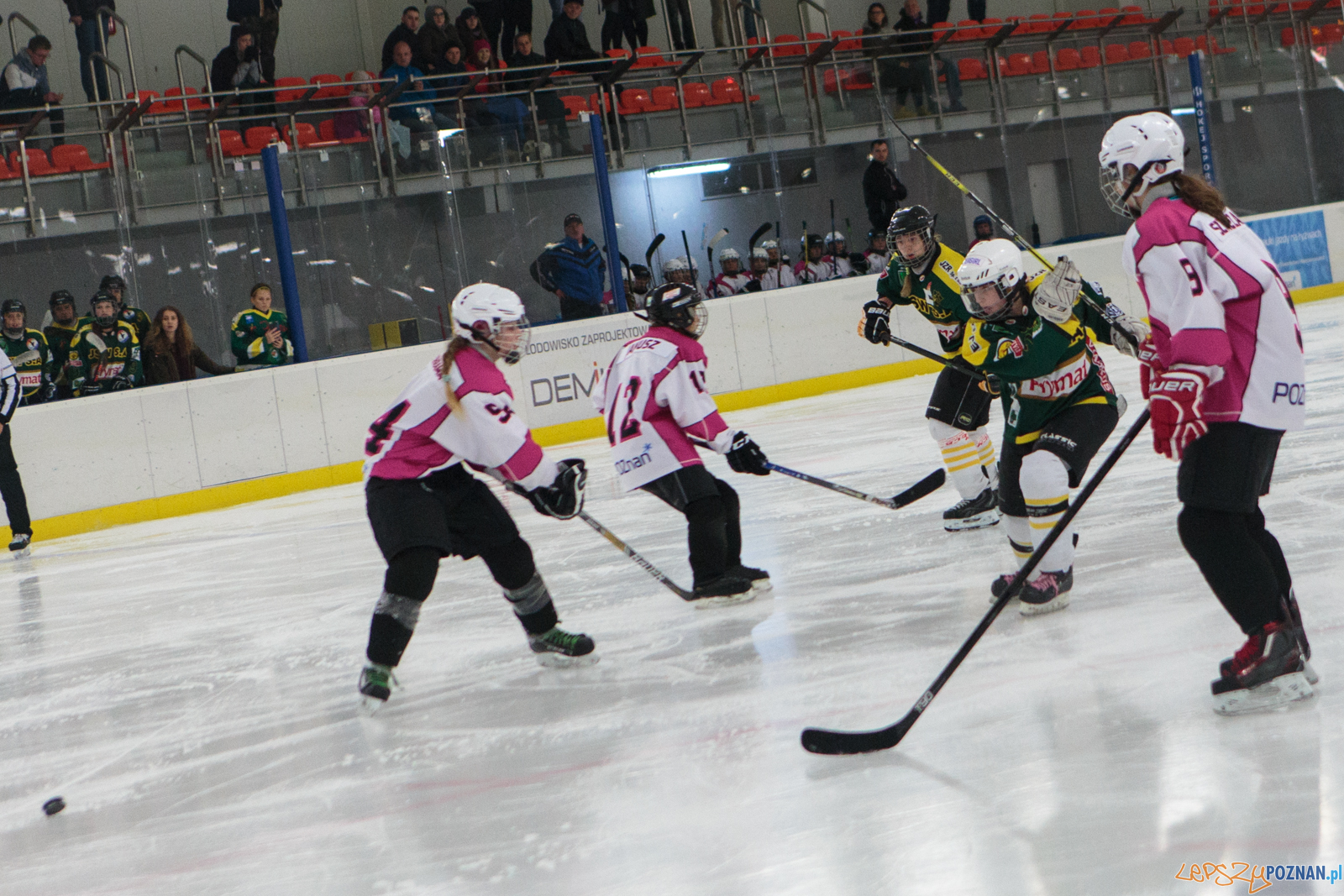 PTH Kozice Poznań - UKH Białe Jastrzębie 3:2 - Poznań 28.10.  Foto: LepszyPOZNAN.pl / Paweł Rychter