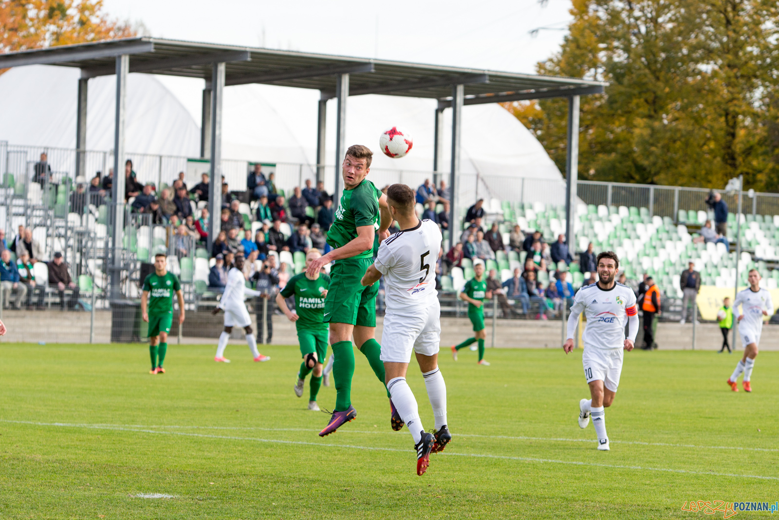 Warta Poznań - GKS Bełchatów  Foto: lepszyPOZNAN.pl/Piotr Rychter