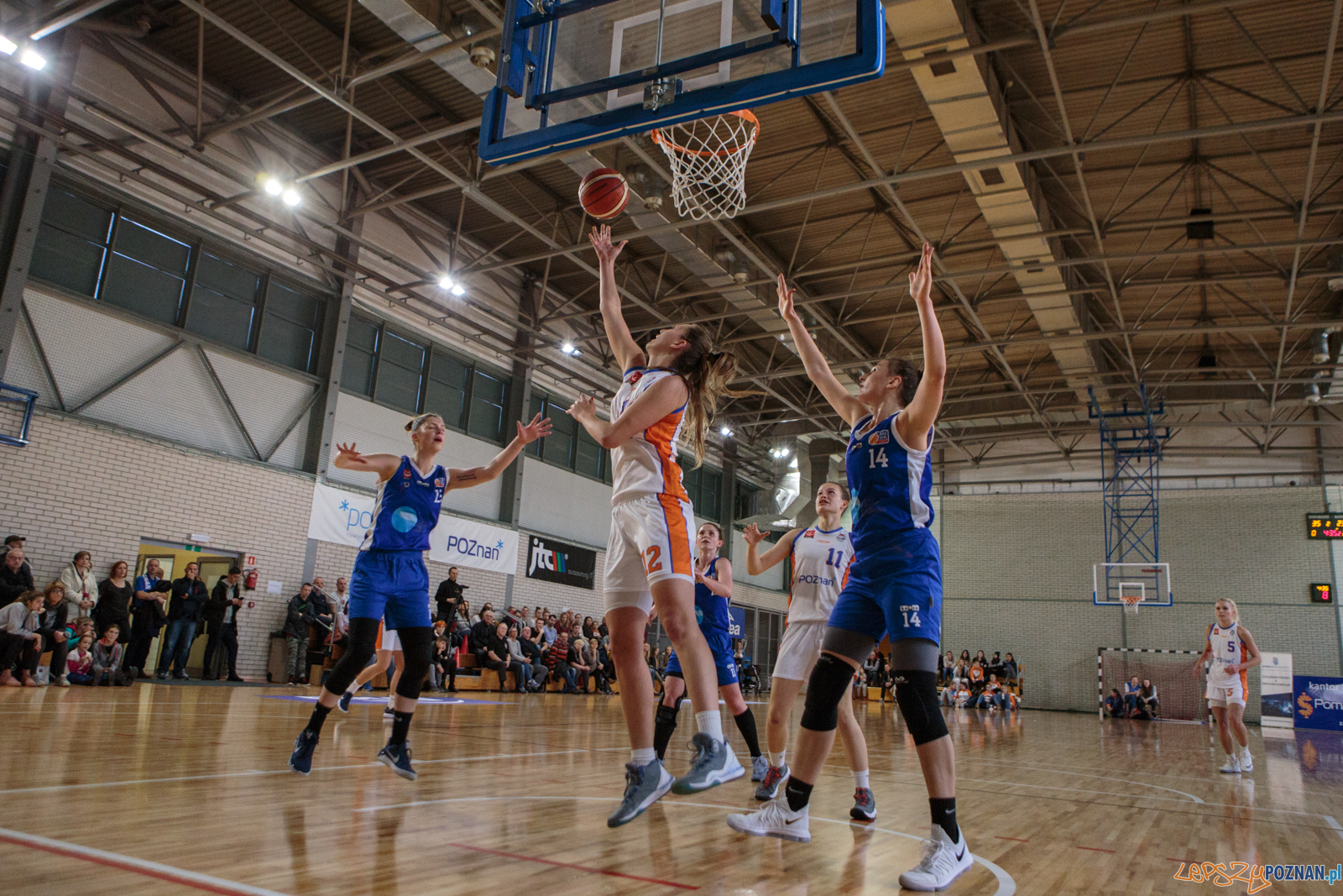 MUKS Poznań - ŁKS Łódź 86:77 - Poznań 28.10.2017 r.  Foto: LepszyPOZNAN.pl / Paweł Rychter