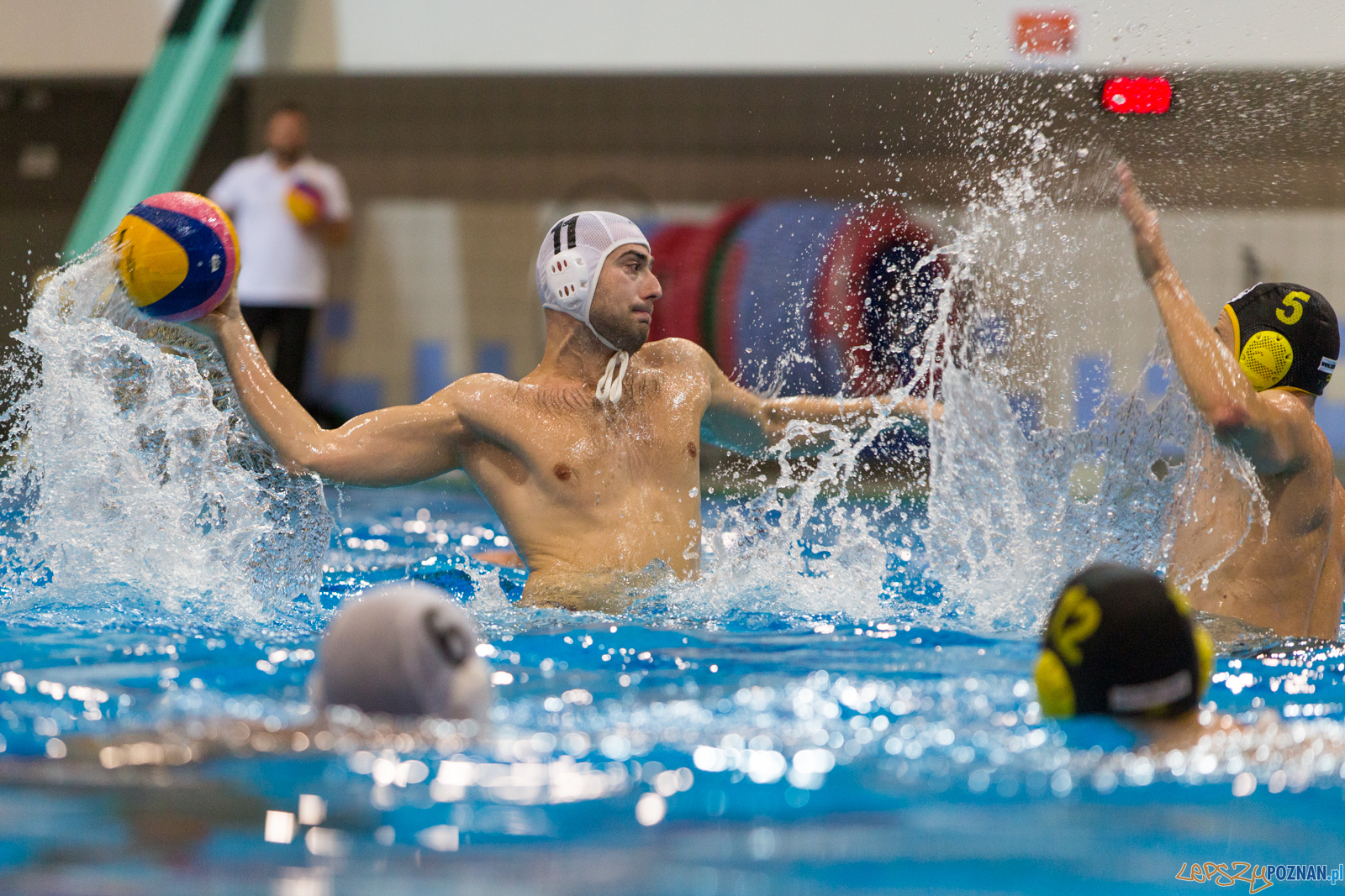 Waterpolo Poznań -  Polonia Bytom  Foto: lepszyPOZNAN.pl/Piotr Rychter