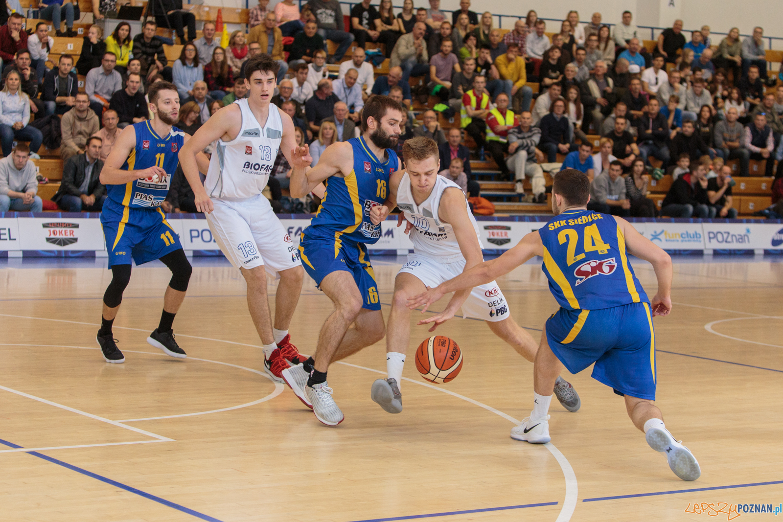 Biofarm Basket Poznań vs SKK Siedlce 86:72 - Poznań 08.10.2017  Foto: LepszyPOZNAN.pl / Paweł Rychter