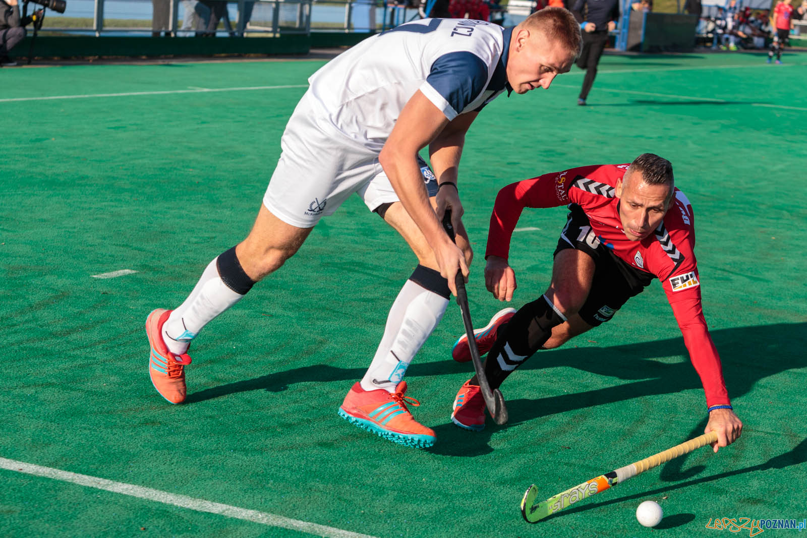 AZS AWF Poznań - Grunwald Poznań 1:4 - Poznań 05.11.2017 r.  Foto: LepszyPOZNAN.pl / Paweł Rychter