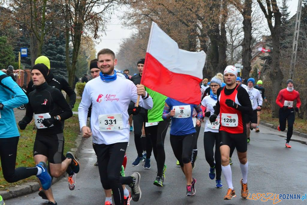 Luboński Bieg Niepodległości  Foto: Luboński Bieg Niepodległości