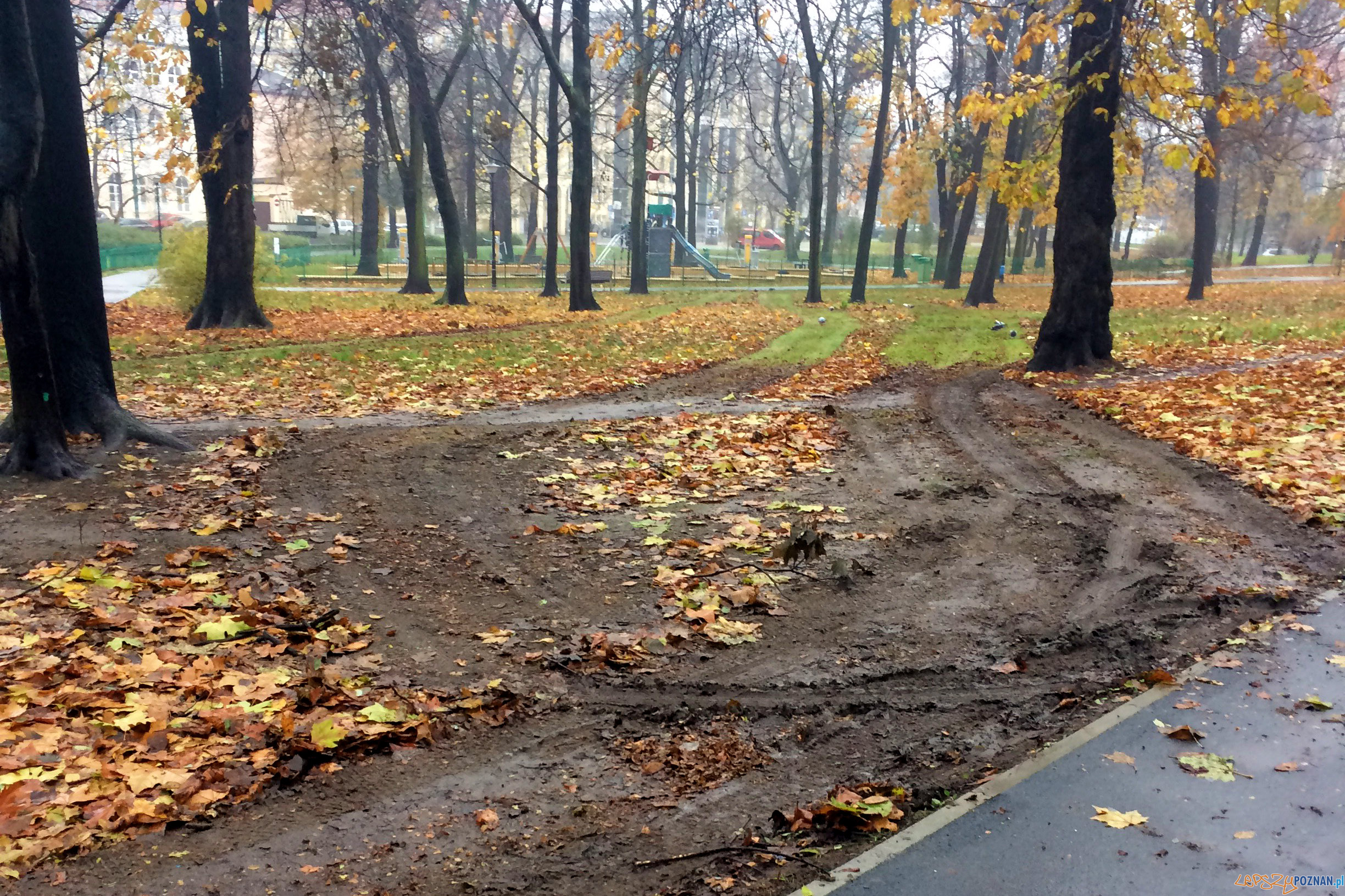 Porządkują, ale...  Foto: Michał