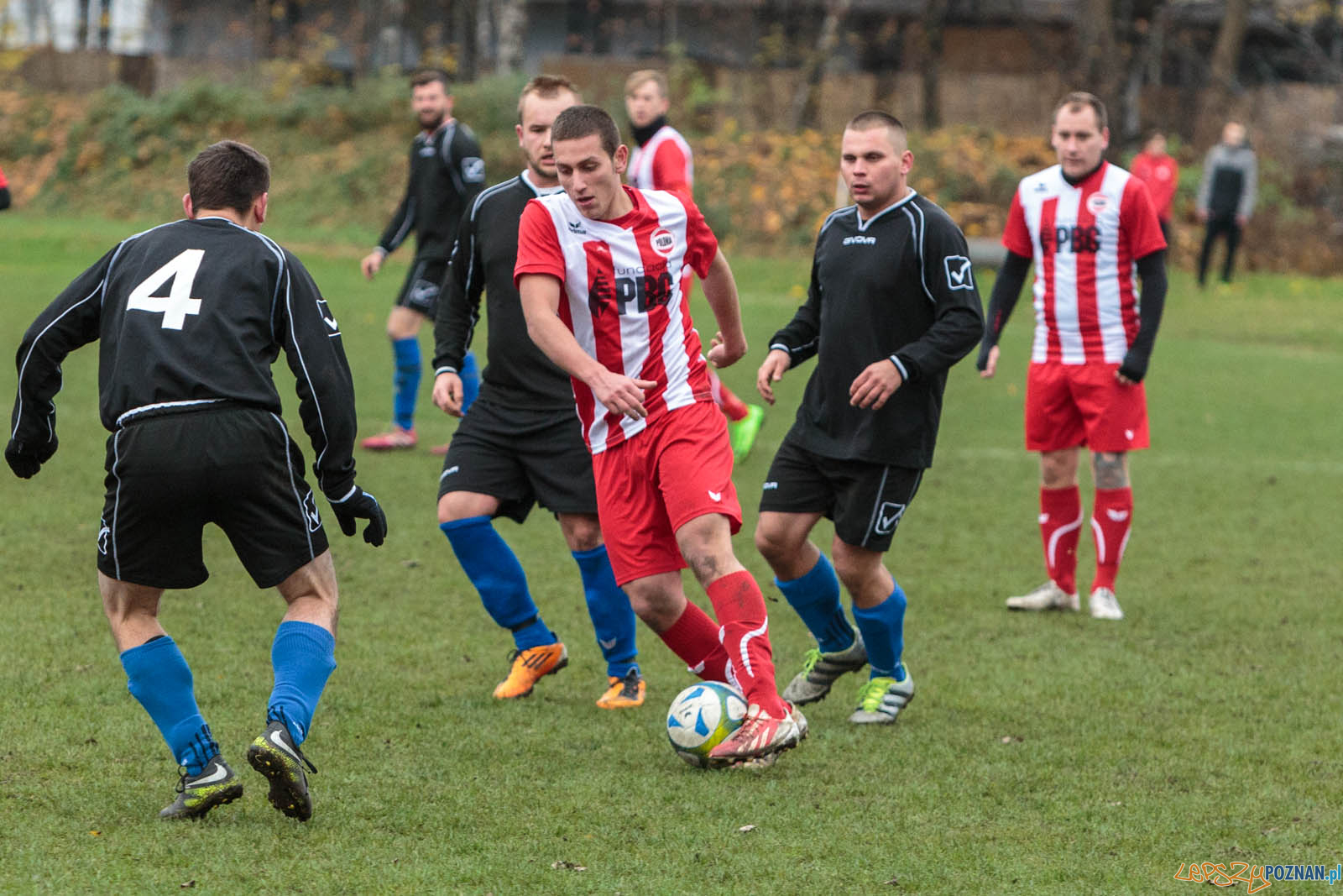 Polonia Poznań – KS Kąsinowo 4:0 - Poznań 19.11.2017 r.  Foto: LepszyPOZNAN.pl / Paweł Rychter