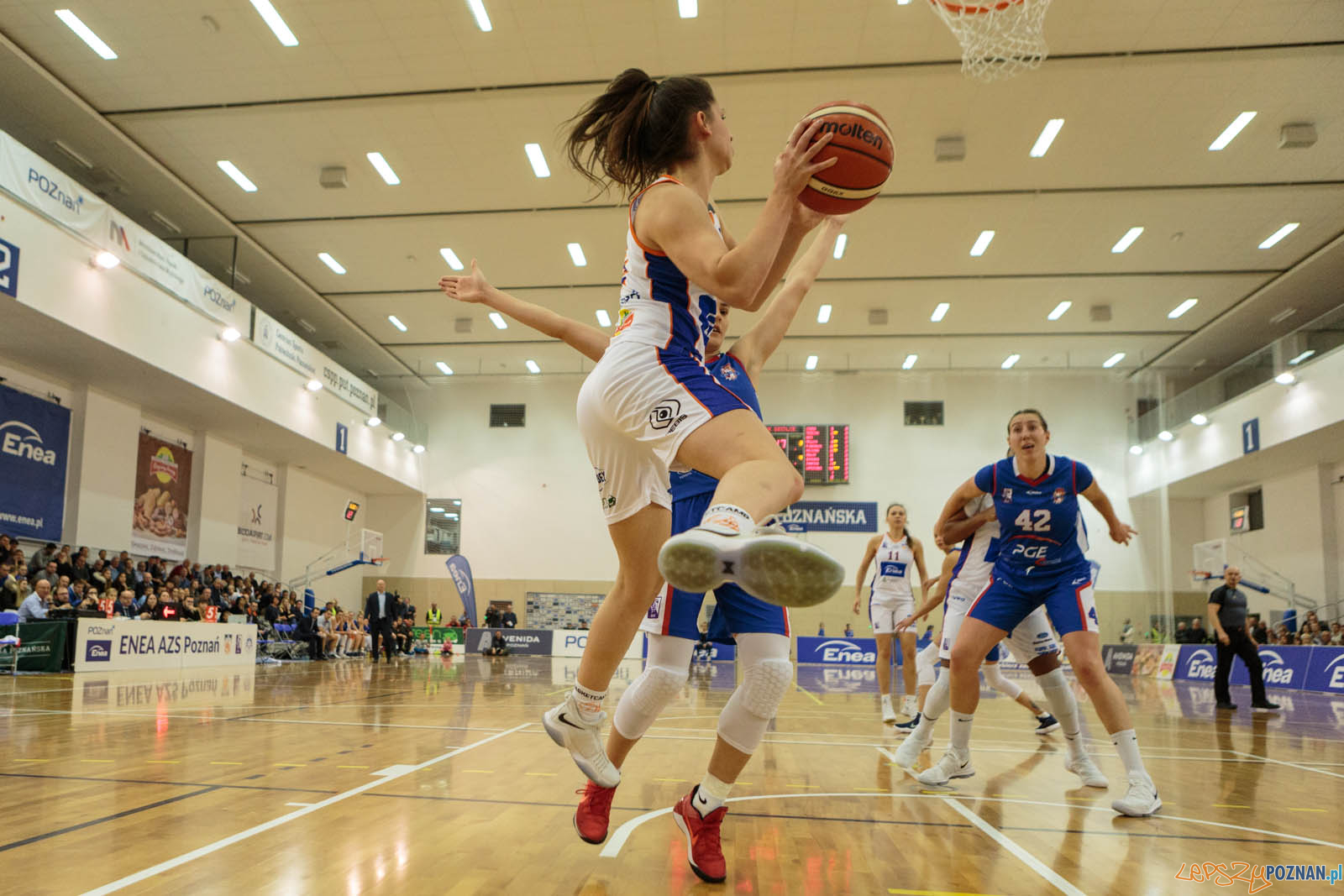 Basket Liga Kobiet: Enea AZS Poznań - PGE MKK Siedlce 85:64  -  Foto: LepszyPOZNAN.pl / Paweł Rychter