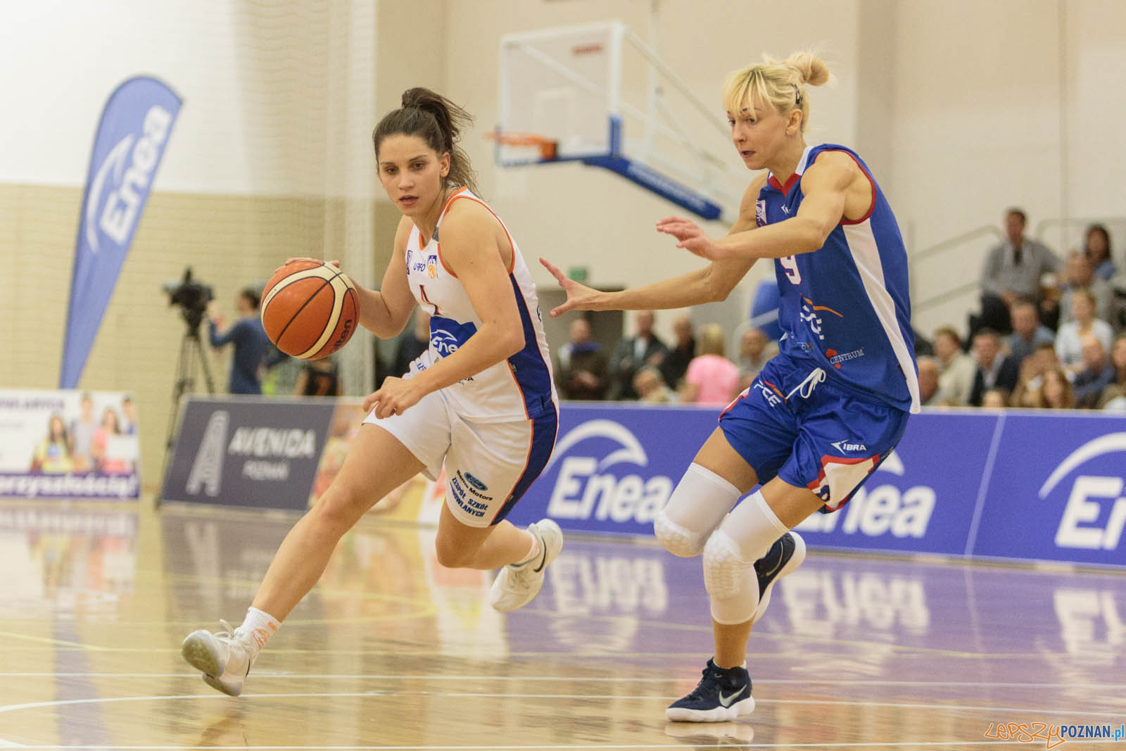 Basket Liga Kobiet: Enea AZS Poznań - PGE MKK Siedlce 85:64  -  Foto: LepszyPOZNAN.pl / Paweł Rychter