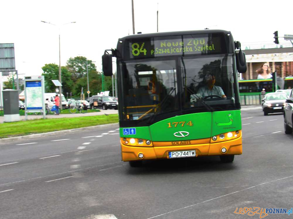 Autobus linii 84 do Nowego Zoo  Foto: ZTM