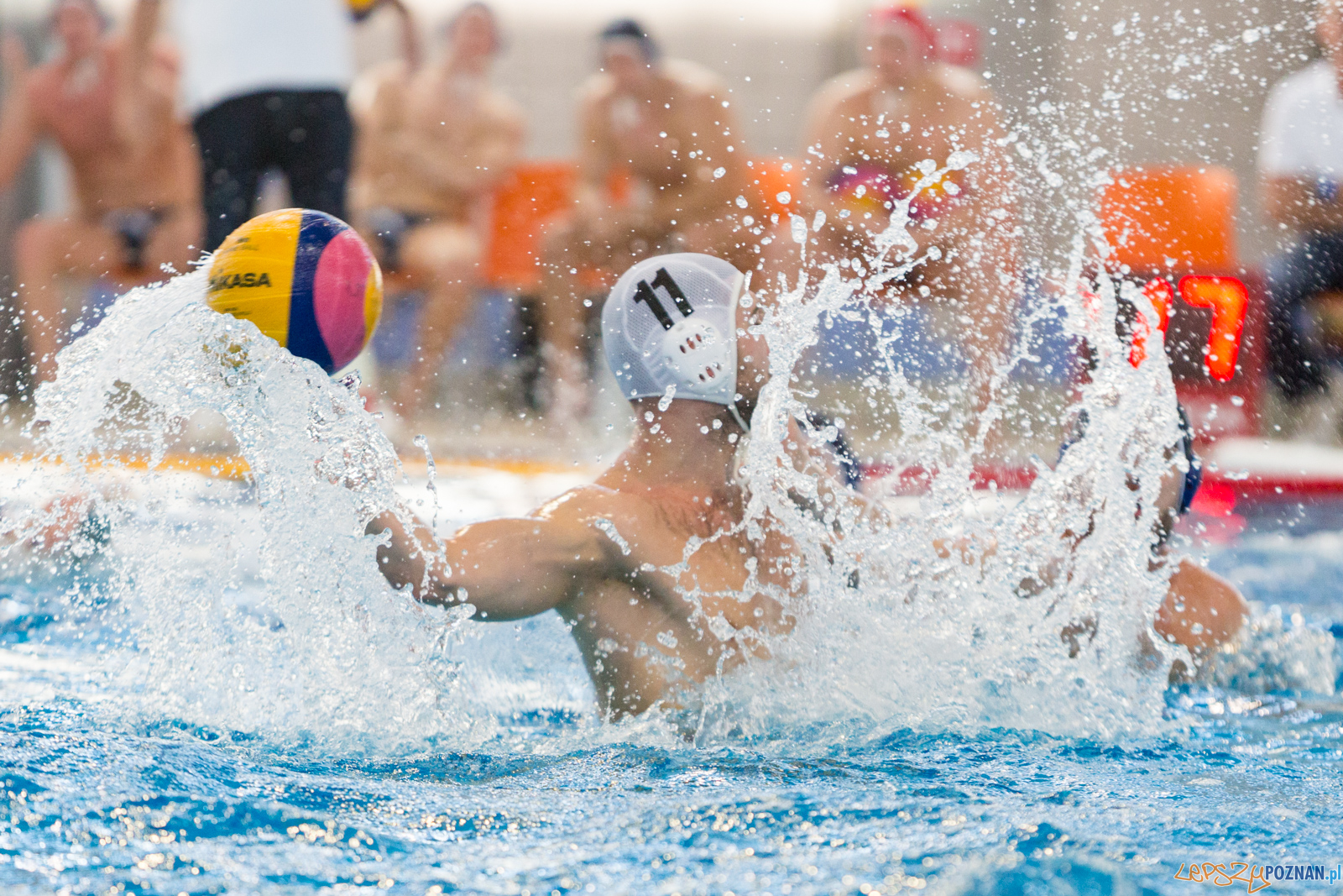 KS Waterpolo Poznań - ŁSTW Politechnika Łódzka OCMER  Foto: lepszyPOZNAN.pl/Piotr Rychter