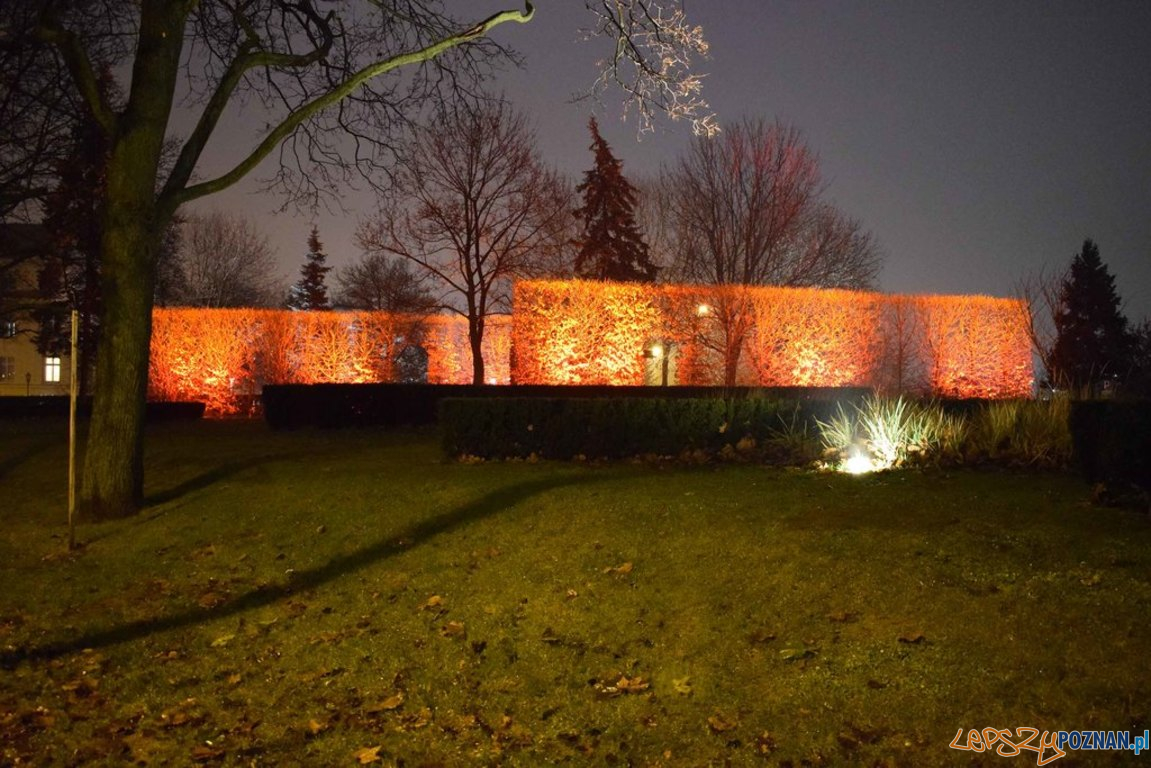 Skwer nad Warta  Foto: Zarząd Zieleni Miejskiej 