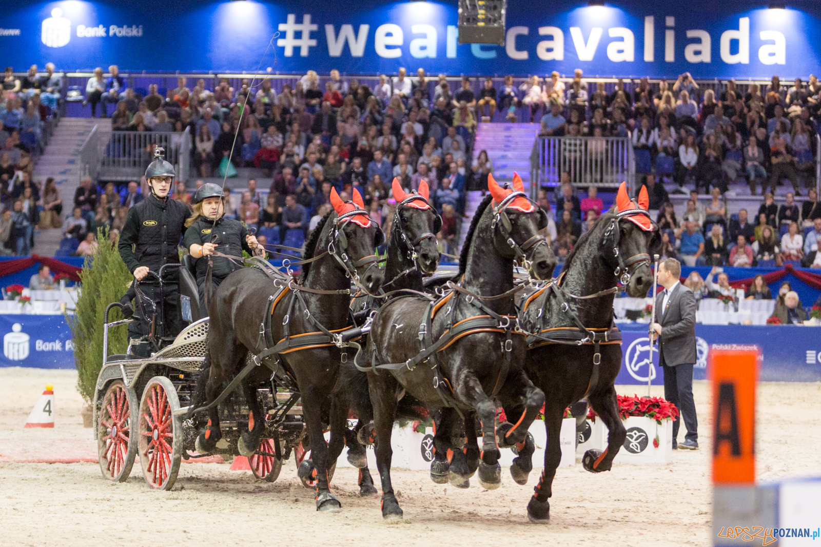 Cavaliada 2017  Foto: lepszyPOZNAN.pl/Piotr Rychter