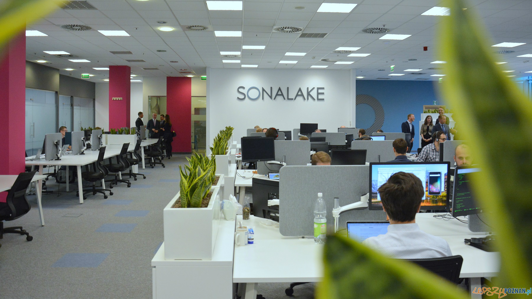 Otwarcie biura spółki Sonalake  Foto: UMP
