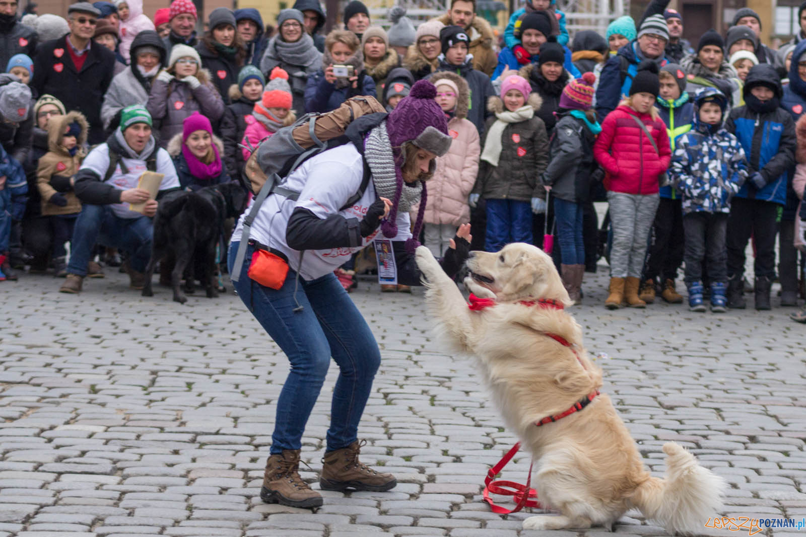 26. Finał WOŚP z Goldenami w Poznaniu  Foto: lepszyPOZNAN.pl / Ewelina Jaskowiak