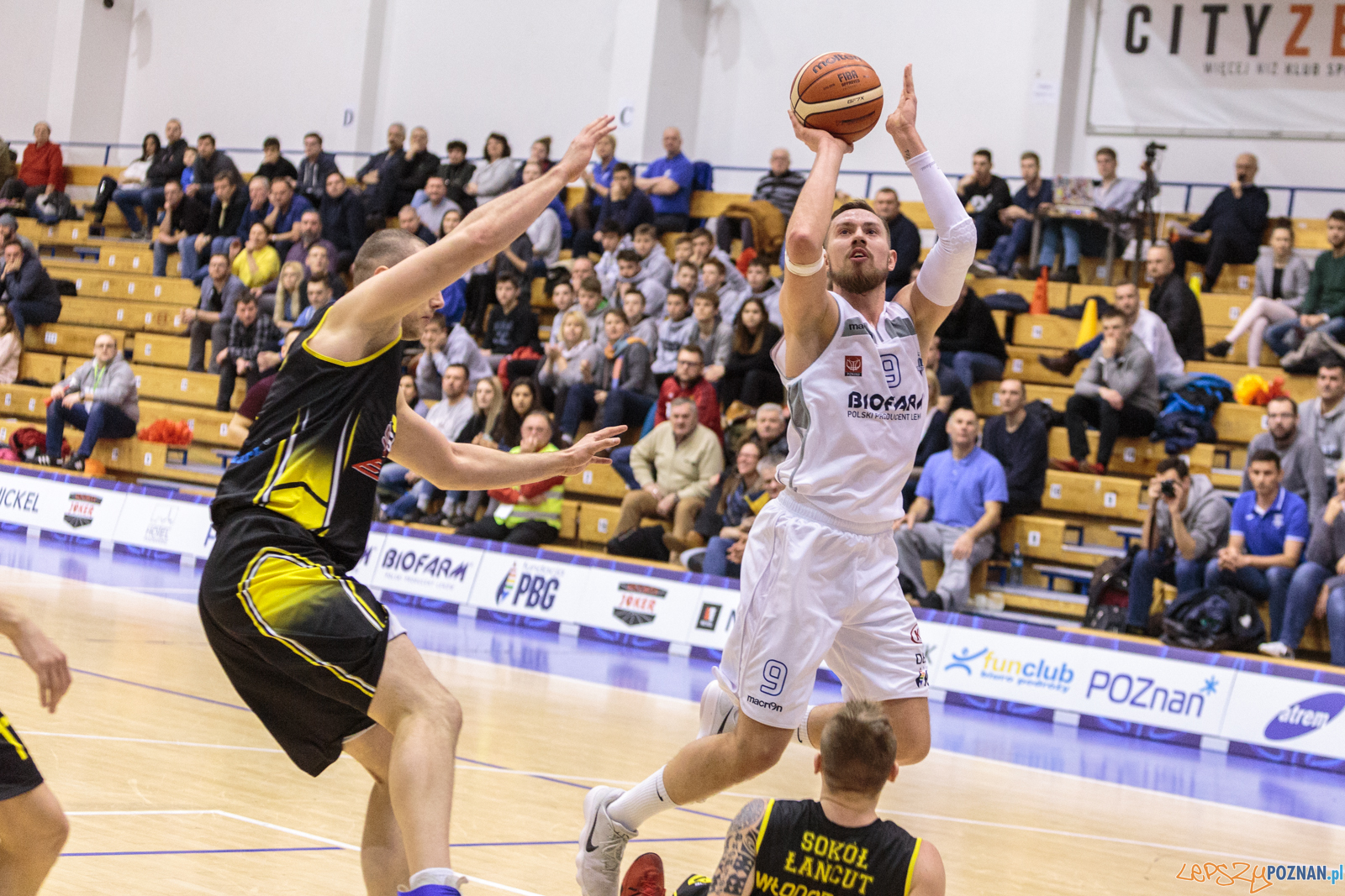 Biofarm Basket Poznań - Sokół Łańcut 86:75 - Poznań 17.02.  Foto: LepszyPOZNAN.pl / Paweł Rychter