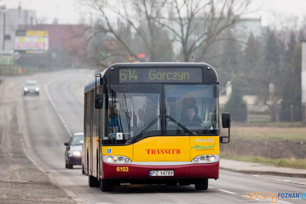 Autobus nr 614 -  Translub  Foto: ZTM