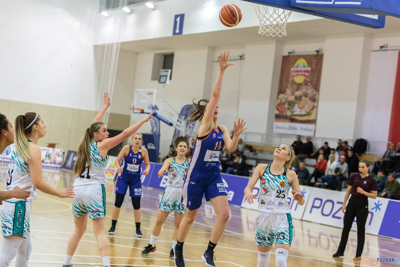 MP U22: MUKS Bydgoszcz - ENEA AZS Poznań 55:90 - Poznań 22.02.  Foto: LepszyPOZNAN.pl / Paweł Rychter