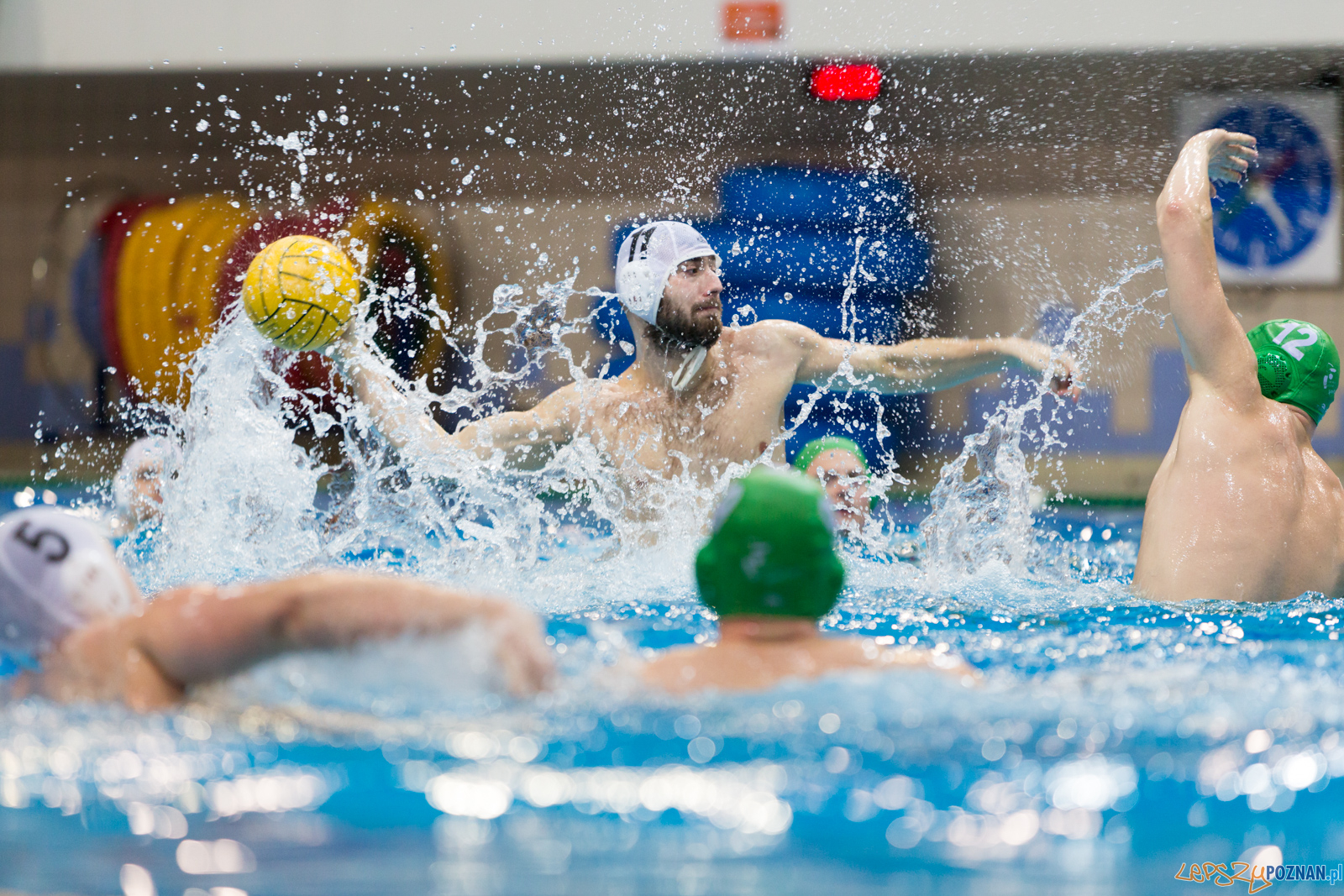 lepszy-24_03_2018_waterpolo_legia-1007  Foto: lepszyPOZNAN.pl/Piotr Rychter