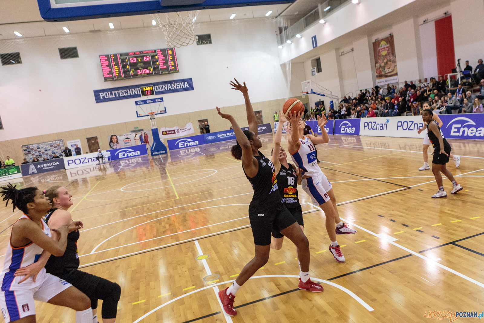 Enea AZS Poznań - TS Ostrovia Ostrów Wielkopolski 59:71 - Pozn  Foto: LepszyPOZNAN.pl / Paweł Rychter