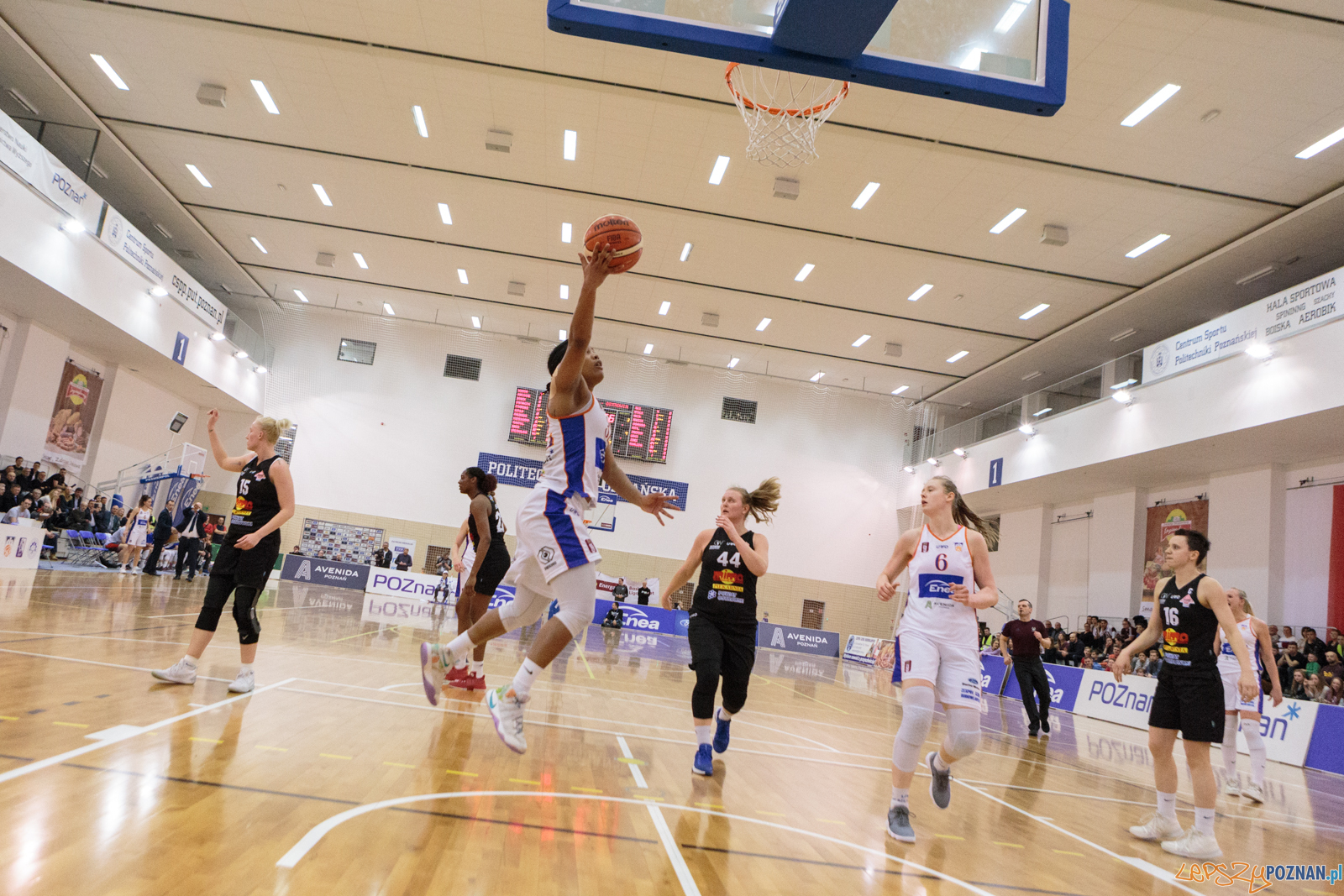 Enea AZS Poznań - TS Ostrovia Ostrów Wielkopolski 59:71 - Pozn  Foto: LepszyPOZNAN.pl / Paweł Rychter