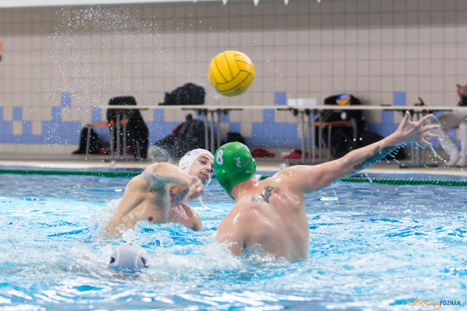 KS Waterpolo Poznań - Legia Warszawa  Foto: lepszyPOZNAN.pl/Piotr Rychter