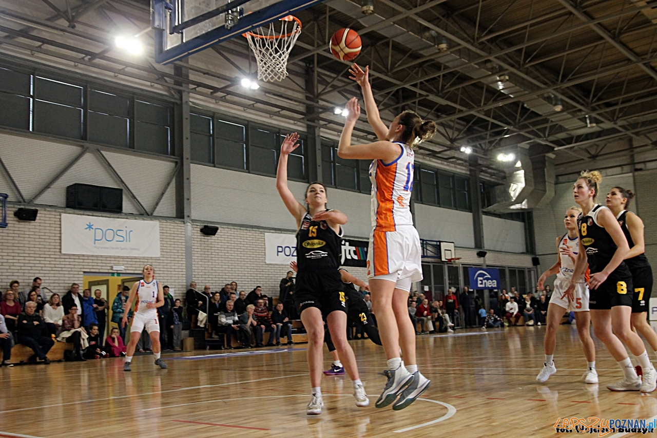 Pomarańczarnia MUKS Poznań - Tęcza Leszno (65:59) - Poznań 1  Foto: Budzik Poznański / Wojciech Budzik